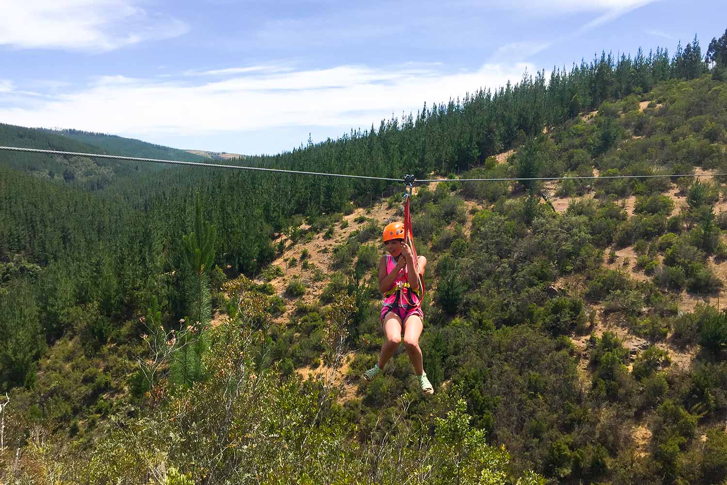 Imagen Canopy